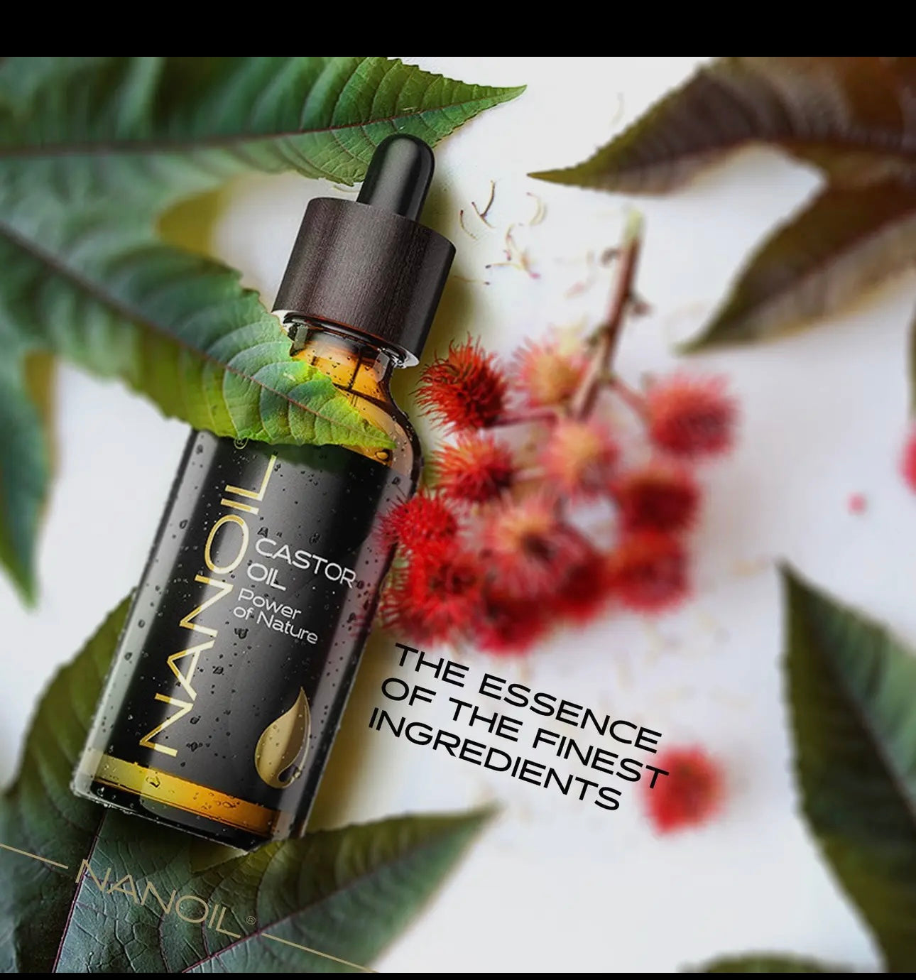 Nanoil Rizinusöl - organisch, kaltgepresst und unraffiniert