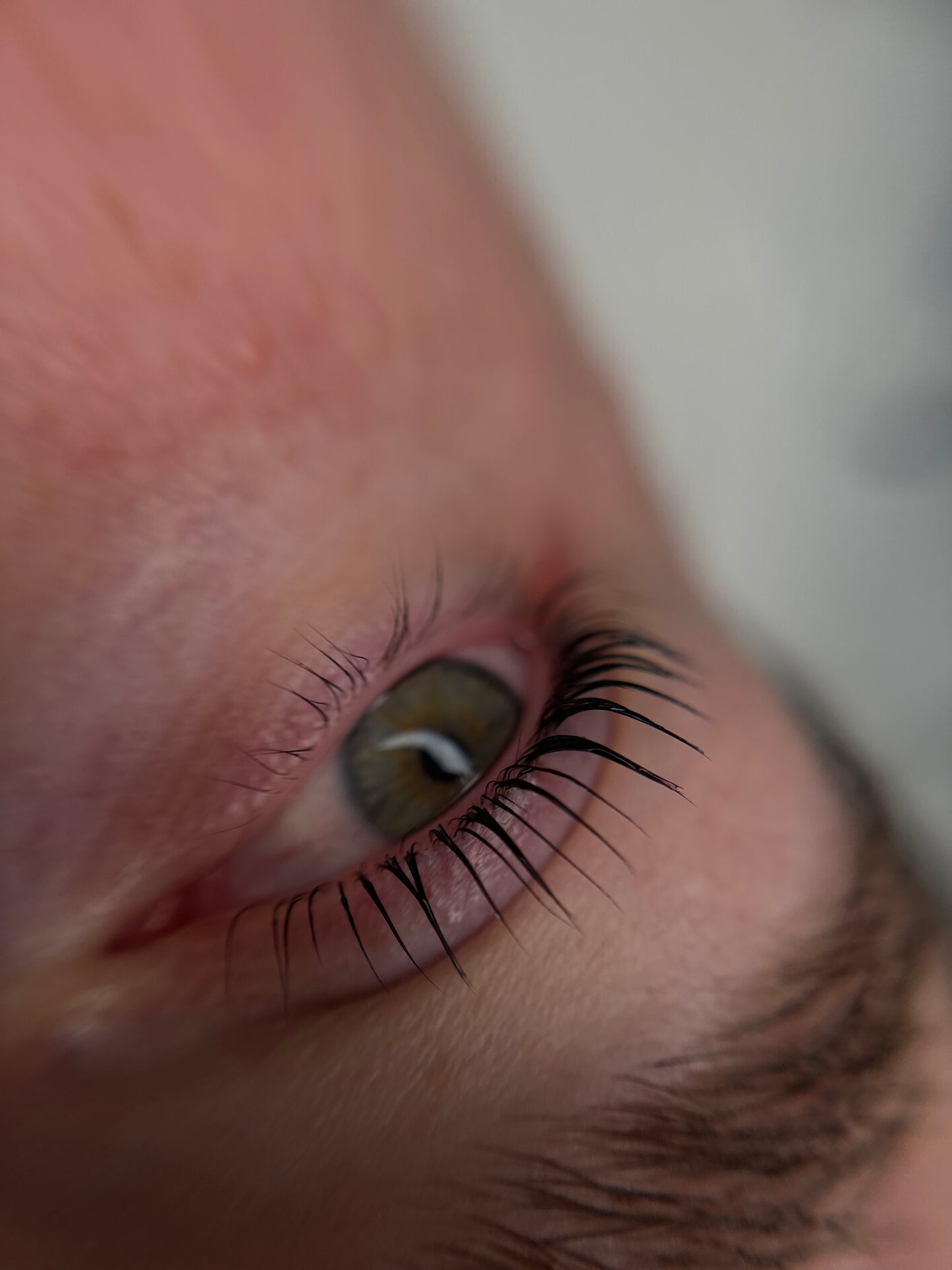 LASHLIFTING Handbuch / Schulungsmaterial