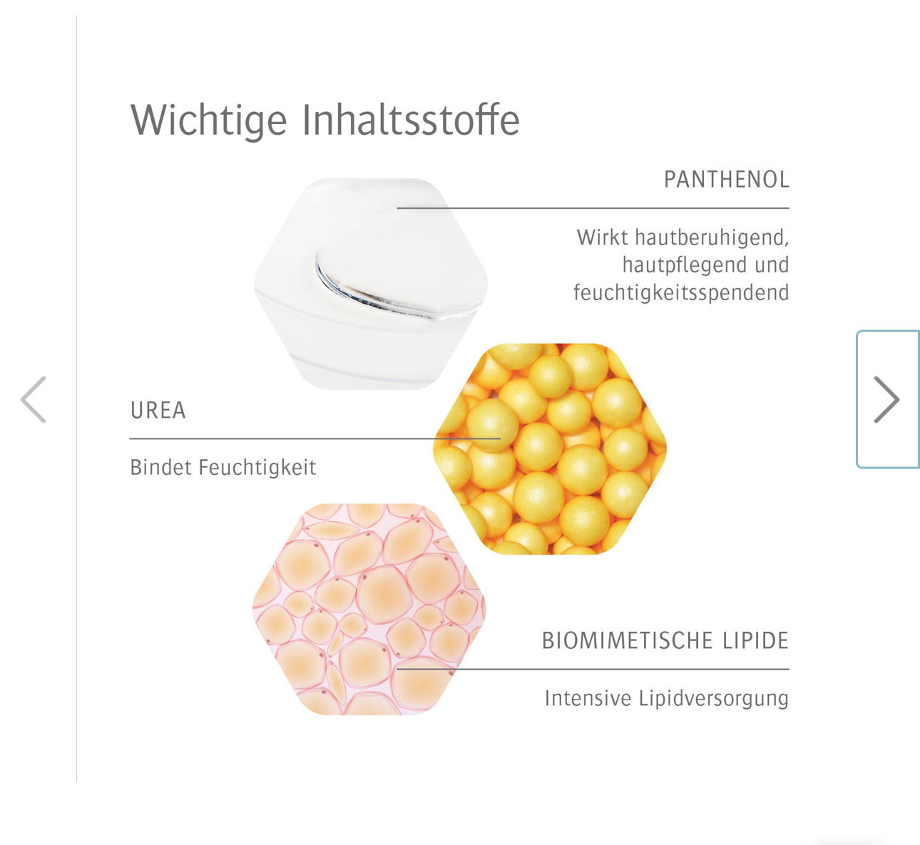 200 ml Allpresan diabetic
Schaum-Creme INTENSIV + REPAIR mit Urea