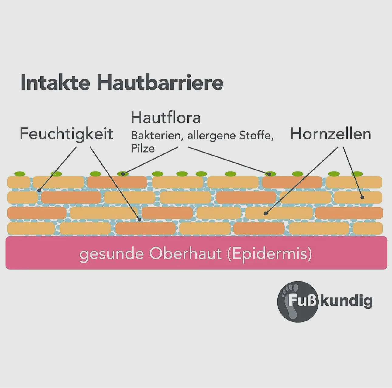 Fuß-Spezial Pflegeschaum gegen Hornhaut & Schrunden 150ml