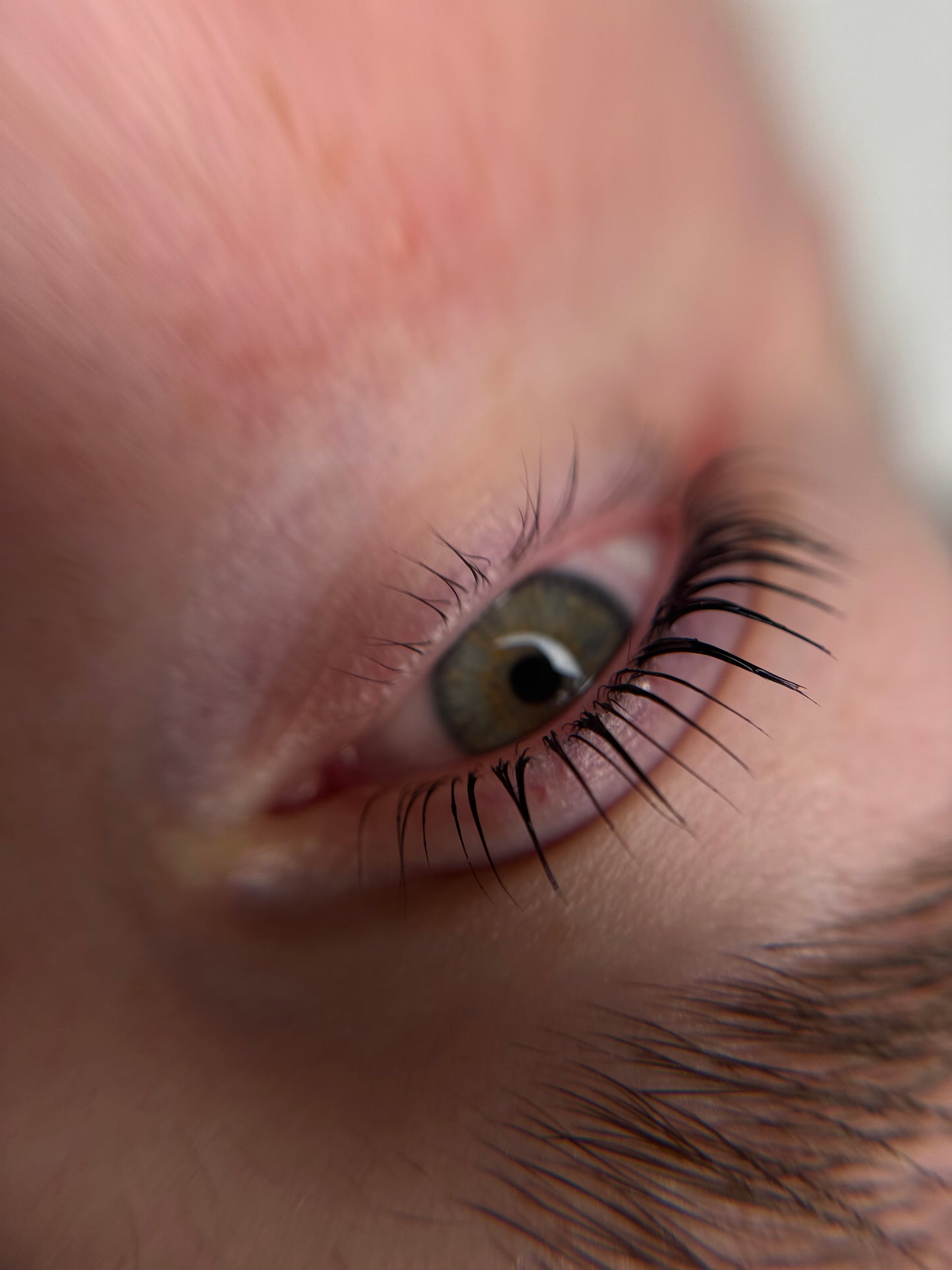 LASHLIFTING Handbuch / Schulungsmaterial